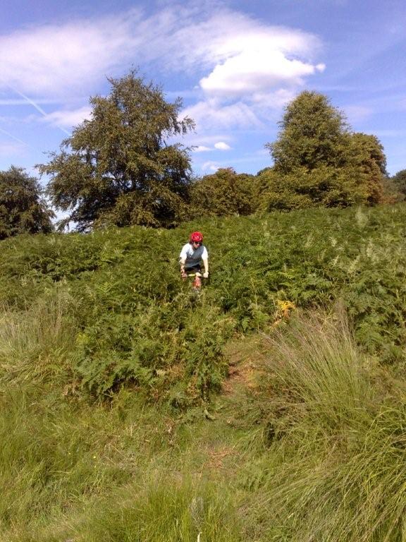 Training ride in Richmond Park