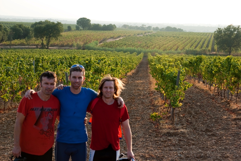 Vineyards - beautiful riding!